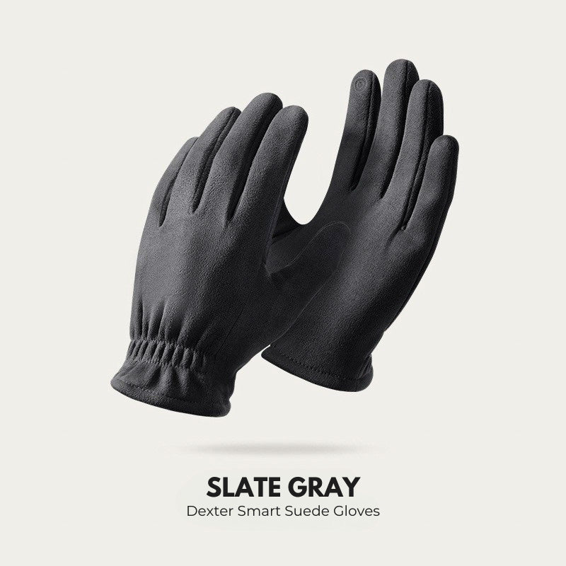 Dexter Smart Suede Gloves